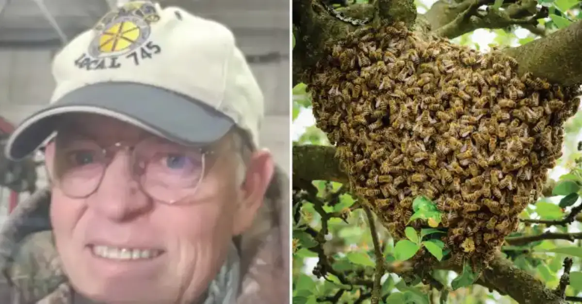 Texas Man Stung To Death By Swarm Of Bees While Mowing Lawn