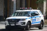 NYPD Investigates Brutal Beating on Randall’s Island: Woman, 44, Unresponsive