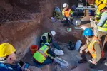 Big Ol’ Animals” Fossils Found in Texas Road Construction — Scientists Stunned by Colossal Size