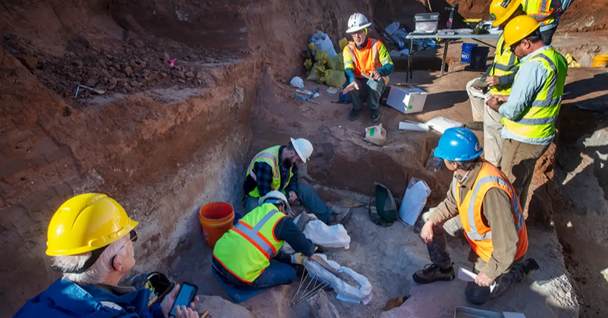 Big Ol’ Animals” Fossils Found in Texas Road Construction — Scientists Stunned by Colossal Size