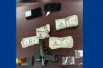 Georgia Traffic Stop for Window Tint Reveals Hidden Illegal Substances and Weapons