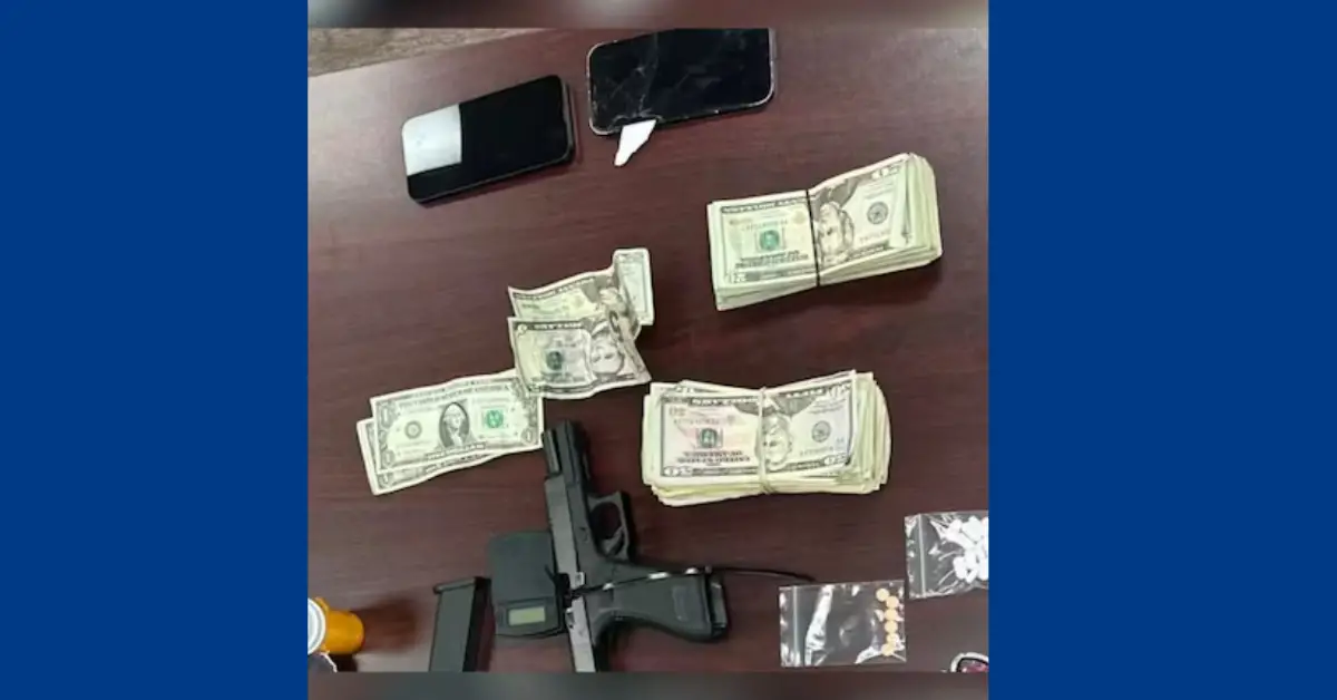 Georgia Traffic Stop for Window Tint Reveals Hidden Illegal Substances and Weapons
