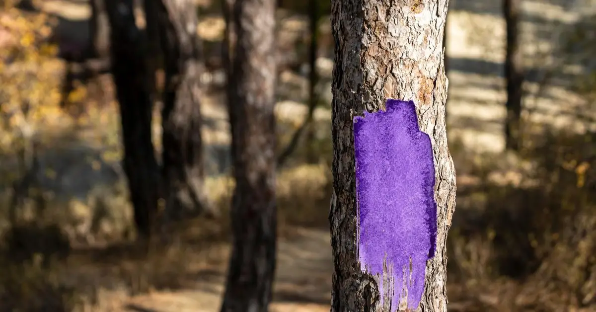 Purple Paint Marks the Boundaries of Private Land in Iowa: Don’t Ignore It