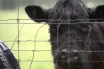 NJ Family Battles Town’s Shocking Plan to Seize Their Farm for Affordable Housing Project