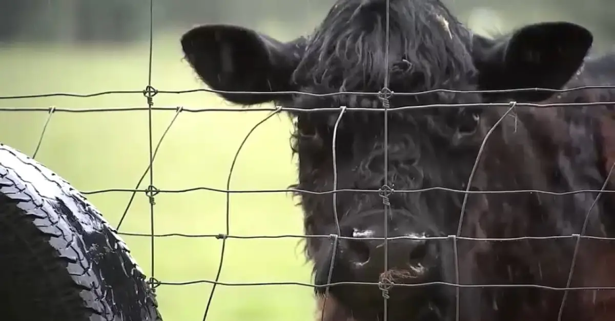 NJ Family Battles Town’s Shocking Plan to Seize Their Farm for Affordable Housing Project