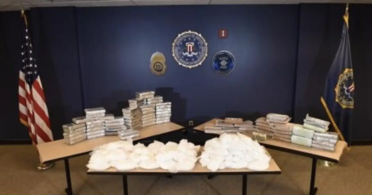 $350,000 in Cash and Hundreds of Pounds of Drugs Confiscated in West Coast Drug Bust
