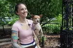 Tiny Chihuahua Attacked by Pit Bulls in UWS: Arrest Warrant Issued for Dog Owner