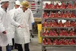 Major Meat Packaging Facility Closes as ICE Raids Disrupt Operations Nationwide