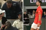 Novak Djokovic's Match Interrupted as Rowdy Fan Forces French Open Security to Act