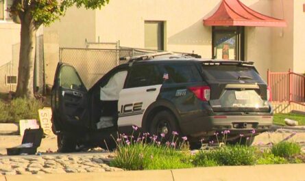 28-Year-Old California Officer Killed in Crash During Pursuit; Colleagues Mourn ‘Dedicated Public Servant'