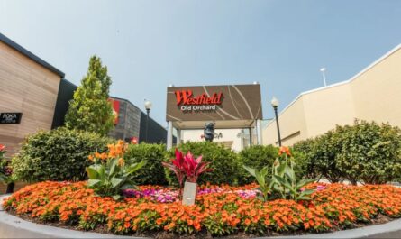 4 New Openings Coming to Old Orchard Mall, Including a Local Favorite