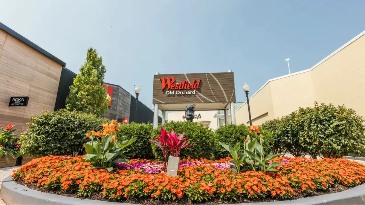 4 New Openings Coming to Old Orchard Mall, Including a Local Favorite