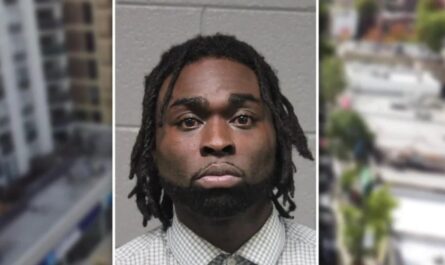 Chicago Man With Long Violent Record Arrested Again After Allegedly Attacking Women Report