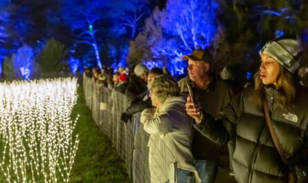 Chicago Weekend Events Best Things to Do Nov. 14–16