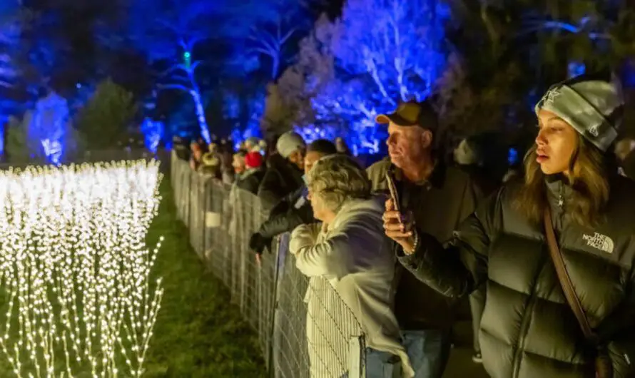 Chicago Weekend Events: Best Things to Do Nov. 14–16