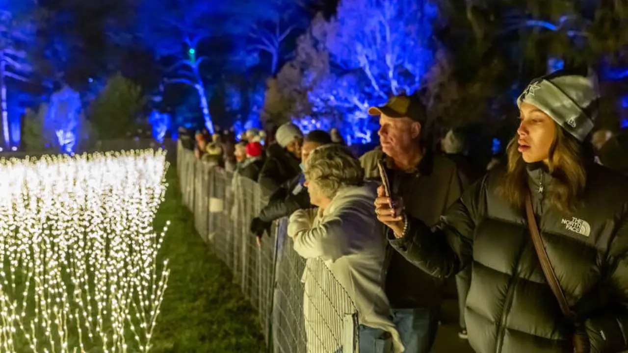 Chicago Weekend Events Best Things to Do Nov. 14–16