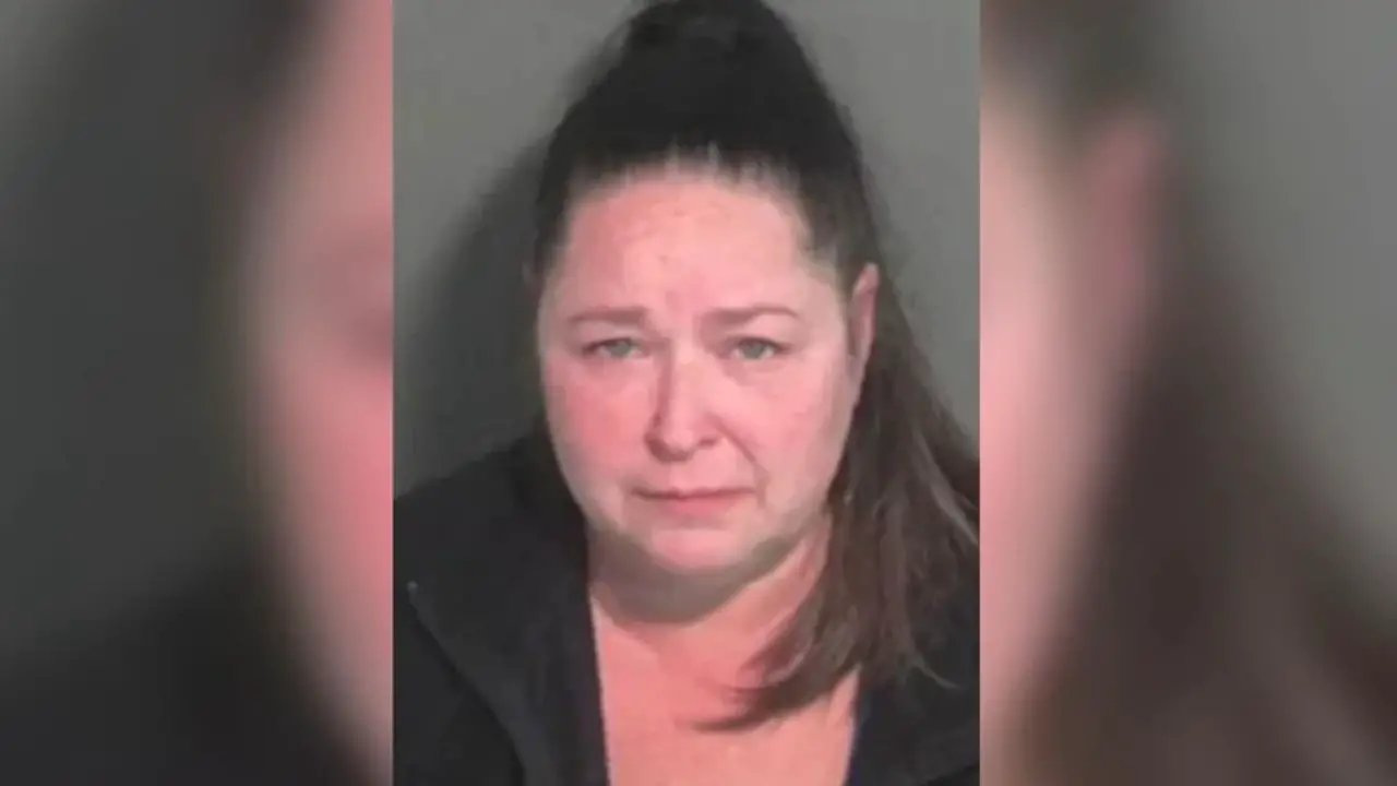 Child, 5, Killed After Alleged Drunk Driver Runs Him Over at School Bus Stop