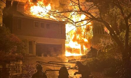 Long Island Farm Fire Kills Dozens of Animals, Injures Family Who Tried to Rescue Them