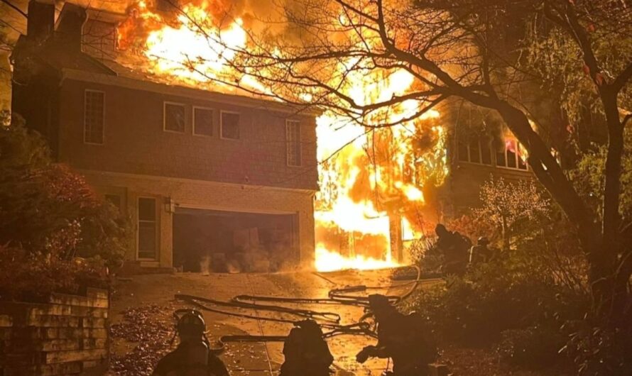 Long Island Farm Fire Kills Dozens of Animals, Injures Family Who Tried to Rescue Them