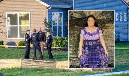 Mom-of-4 Killed After Going to Wrong Home for Cleaning Job; Indiana Homeowner Now Charged