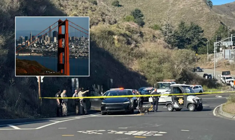 Police: Bicyclist Stabbed Multiple Times by Tesla Driver Near Golden Gate Bridge