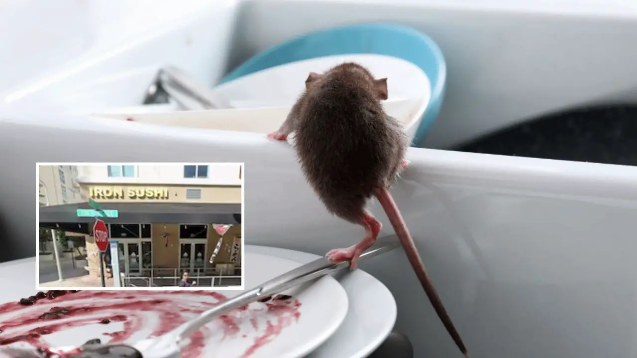 Multiple South Florida Restaurants Ordered Shut After Health Inspectors Find Roaches, Rodents, and Sewage