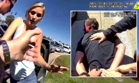 Viral Moment Louisiana Mom Gives Police Officer a Ride During Chase of Alleged Shoplifter