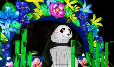 Weekend in D.C. Holiday Market and Other Top Things to Do Through Nov. 23