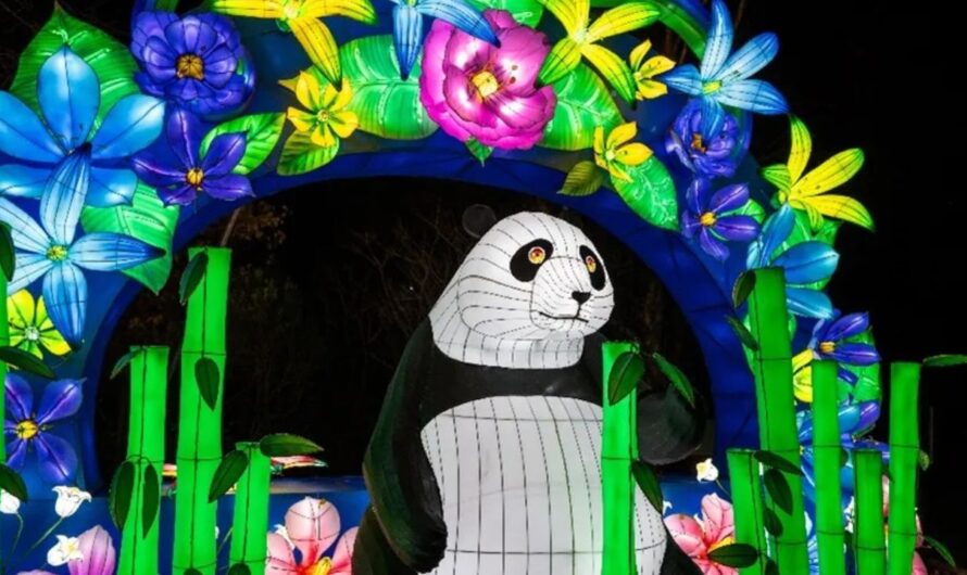 Weekend in D.C.: Holiday Market and Other Top Things to Do Through Nov. 23