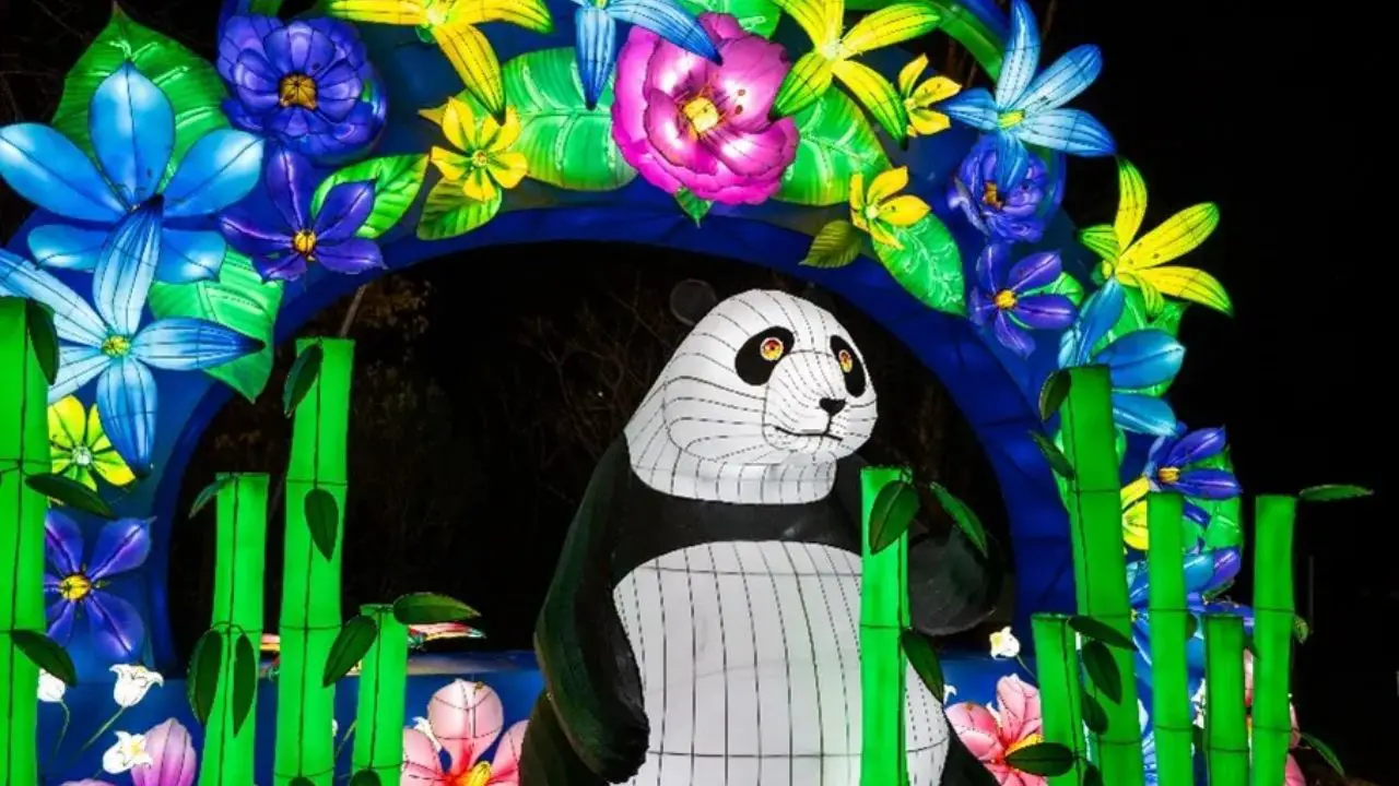 Weekend in D.C. Holiday Market and Other Top Things to Do Through Nov. 23