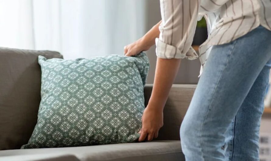 Woman Wants $150 After Friend’s Boyfriend Has Accident on Her Couch — His Reaction Stuns Her