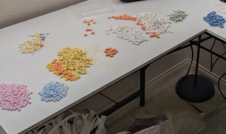 130 Detained at Illegal Gambling ‘Casitas’ After Massive Multi-Agency Crackdown in Southern California, FBI Says