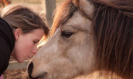 Abused Rescue Miniature Horse Softens When His New Mom Sings to Him