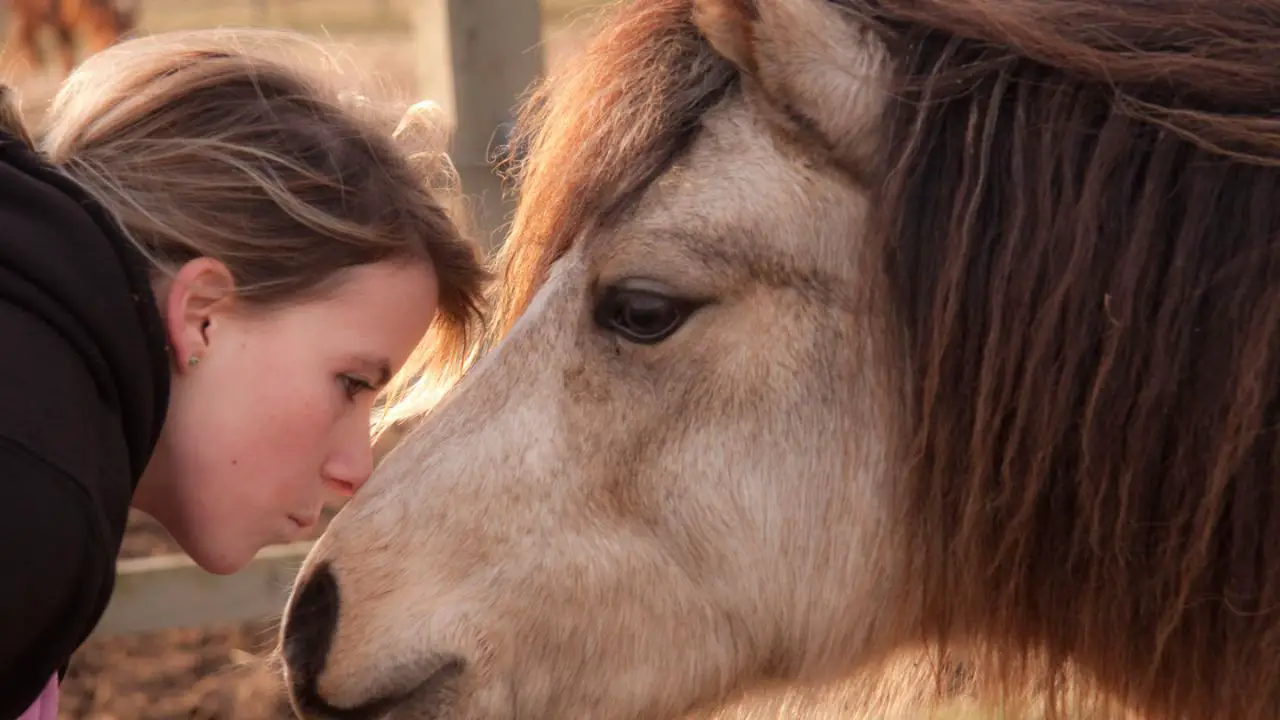 Abused Rescue Miniature Horse Softens When His New Mom Sings to Him