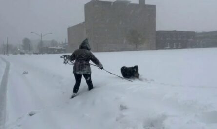 Arctic Blast Set to Grip Central and Eastern U.S., but Relief Expected Before Christmas (1)