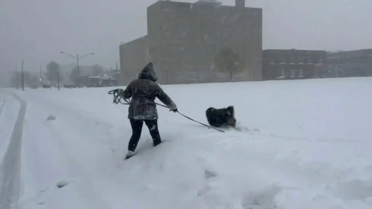 Arctic Blast Set to Grip Central and Eastern U.S., but Relief Expected Before Christmas (1)