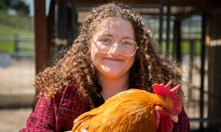 California Animal Rights Activist Sentenced to Jail After Slaughterhouse Break-In and Chicken ‘Rescue’