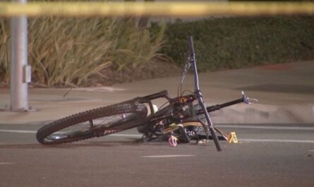 California Prosecutors Say Drug-Impaired Driver Killed Cyclist on Pacific Coast Highway