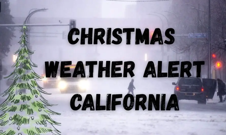 Christmas Storm Still on Track to Soak Southern California as Heaviest Rain Nears
