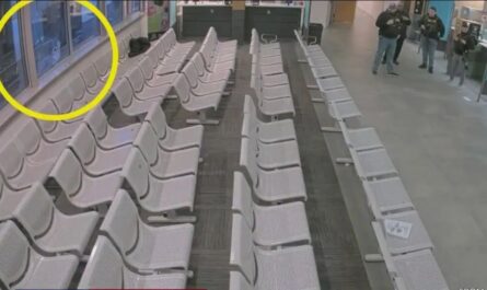 Delaware Trooper Hailed as Hero After Being Fatally Shot at DMV in ‘Act of Pure Evil’