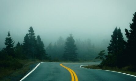 From Foggy Roads to Near-80° Days San Antonio’s Weather Changes Fast This Week