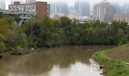 Houston Authorities Recover Third Body From Area Bayous This Week as Annual Death Toll Rises