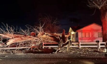 Idaho Windstorm Leaves Two Kids Critically Injured While Waiting for Bus