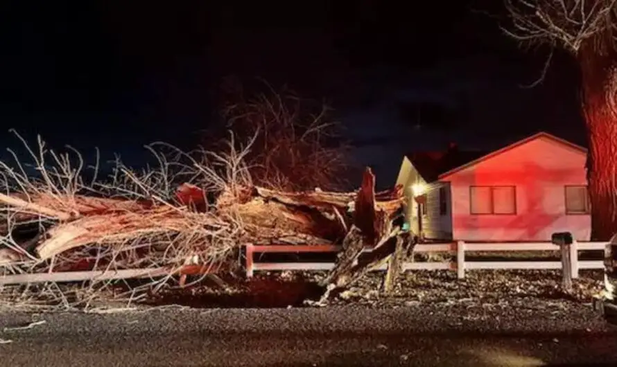 Idaho Windstorm Leaves Two Kids Critically Injured While Waiting for Bus