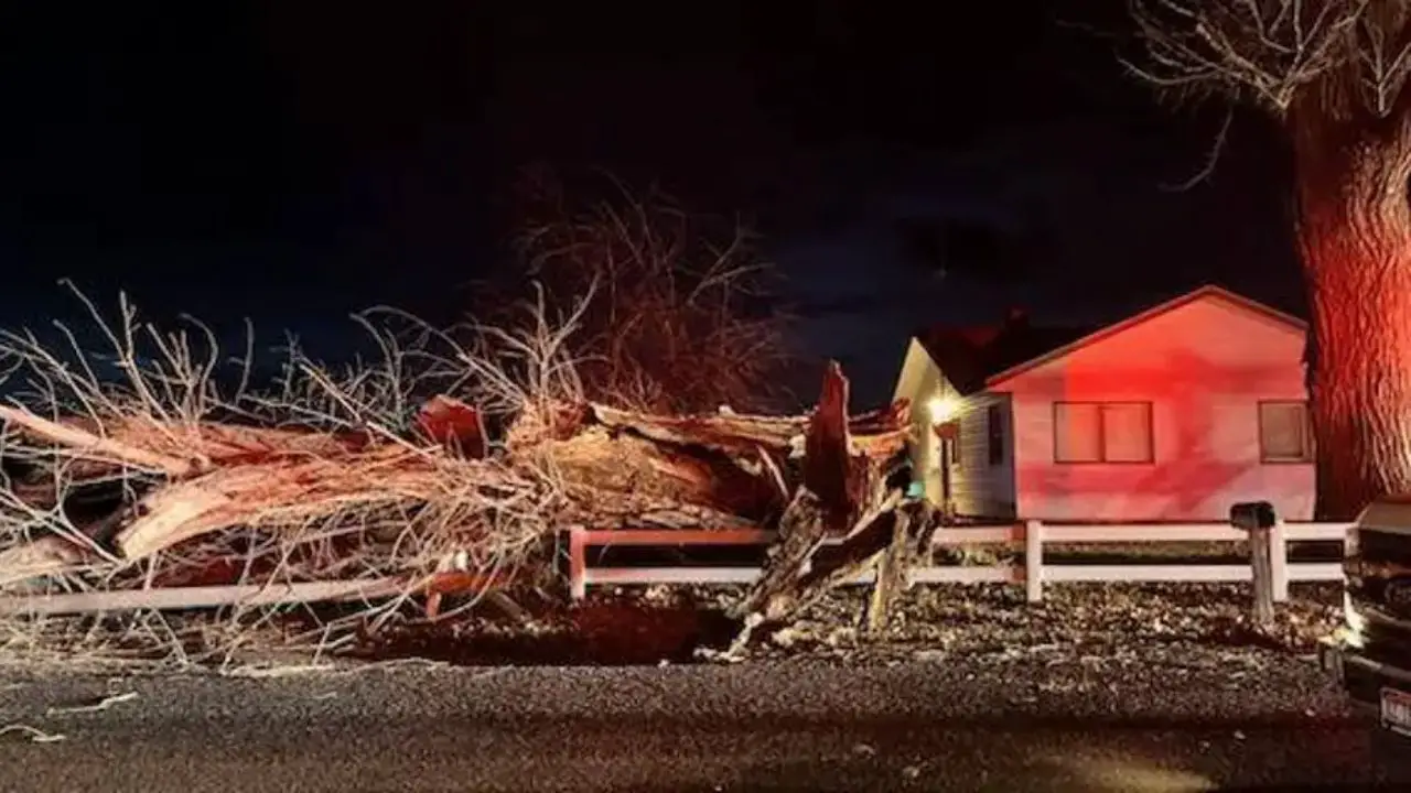 Idaho Windstorm Leaves Two Kids Critically Injured While Waiting for Bus