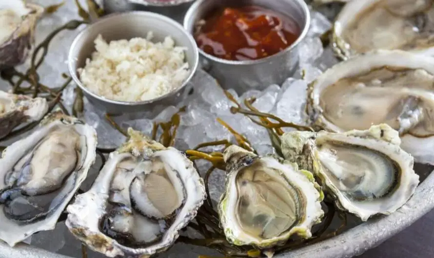 Raw Oysters Linked to Salmonella Outbreak Sickening 64 People Across 22 States, CDC Says
