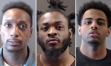 Three Georgia Jail Escapees Allegedly Kidnap Lyft Driver During Hours-Long Escape to Florida