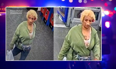 Woman Arrested After Razor Blades Found Hidden Inside Bread at Mississippi Walmart Stores