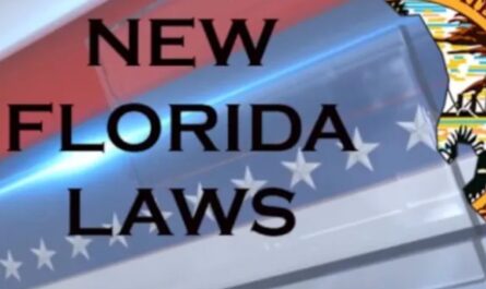 Florida Law Update New Rules Now Affect Patients, Pet Owners, and Workers
