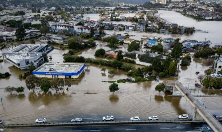 Marin County Hit Hard by King Tides and Heavy Rain, Triggering Widespread Flooding